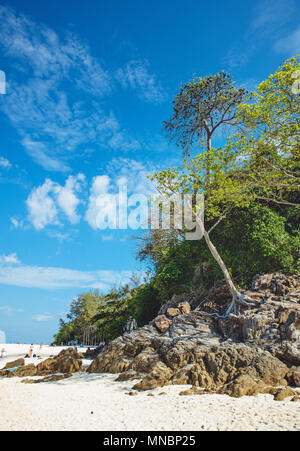 Beautoful paysage asiatique de la forêt tropicale et un océan Banque D'Images