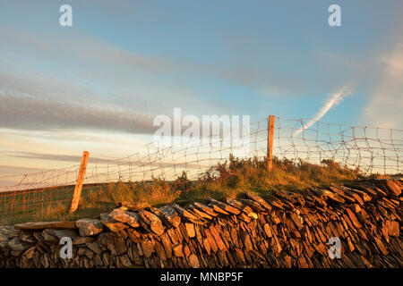 Le long de la promenade côtière de Calf of Man à Port Erin sur l'île de Man. Un vieux mur en pierre sèche de l'ardoise est baignée de soleil en fin d'après-midi chaud en t Banque D'Images