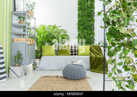 Jardin botanique salon avec canapé gris, vert les oreillers et bibliothèque Banque D'Images