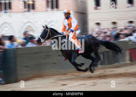 Contrada de licorne, la course, Palio de Sienne, Sienne, Toscane, Italie, Europe Banque D'Images