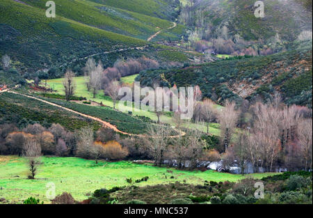 Les pâturages près de Rio de lassitude en hiver. Le Parc Naturel de Montesinho, Tras-os-Montes. Portugal Banque D'Images