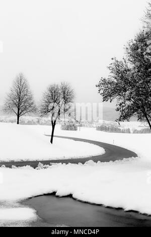 Une route sinueuse au milieu de la neige, avec des arbres sur le côté Banque D'Images