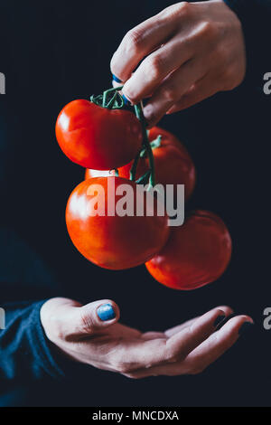 Femme est titulaire d'une tomates mûres en mains Banque D'Images