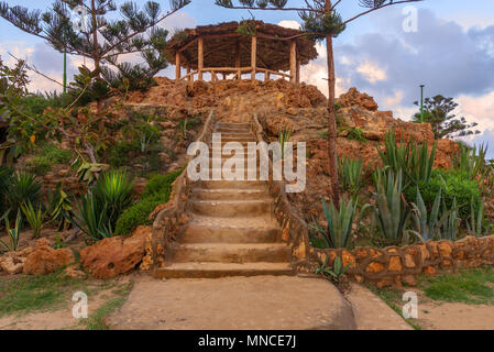 Escalier en pierre naturelle avec des buissons verts de part et d'autre menant à pergola en bois avec ciel partiellement nuageux au parc Montaza en été, Alexandrie, par ex. Banque D'Images