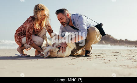 Couple de jouer avec leur chien sur la plage. Les cadres supérieurs l'homme et la femme s'amuser avec leur chien de compagnie sur le bord de la mer. Banque D'Images