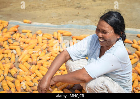 Sumatra, Indonésie - le 13 janvier 2018 : Female farmer sourit tandis que le séchage au soleil en maïs île Samosir, Lac Toba, Sumatra, Indonésie. Banque D'Images