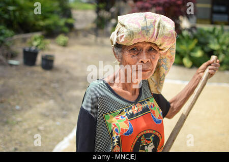 Sumatra, Indonésie - 15 janvier 2018 : agriculteur âgé regarde dans l'appareil photo qui le séchage au soleil le riz en île Samosir, Lac Toba, Sumatra, Indonésie Banque D'Images