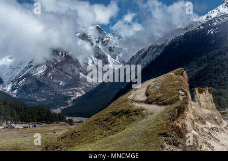 Yumthang vallée, une attraction touristique populaire et la nature zone de camp sur l'Est de l'Himalaya, le Sikkim, Inde Banque D'Images