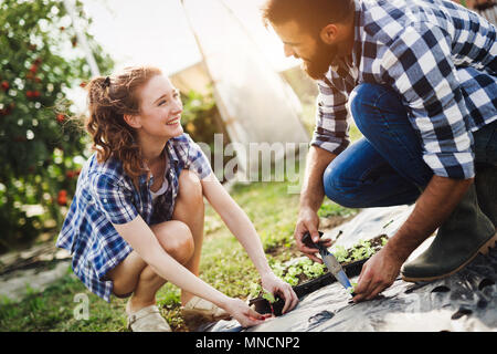 Deux jeunes femmes travaillant dans les serres et planter des graines. Banque D'Images