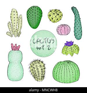 Ensemble de cactus de couleur, hand drawn vector illustration. contours de croquis. Collection de succulentes. Illustration de Vecteur