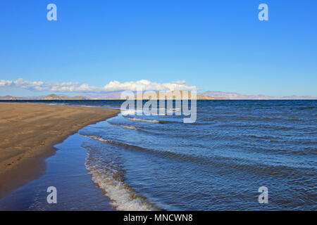 Plage de sable à Bahia de Los Angeles, Baja California, Mexique Banque D'Images