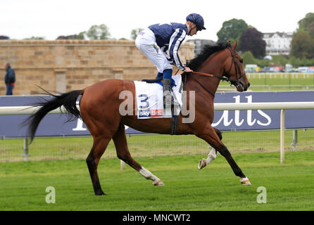 Aigle couronné monté par Jockey Daniel Muscutt avant le Sky Bet Première course Handicap Jorvik spécial au cours de la première journée du Festival à Dante 2018 hippodrome de York, New York. ASSOCIATION DE PRESSE Photo. Photo date : mercredi 16 mai 2018. Voir l'histoire de New York COURSE PA. Crédit photo doit se lire : Simon Cooper/PA Wire. Banque D'Images