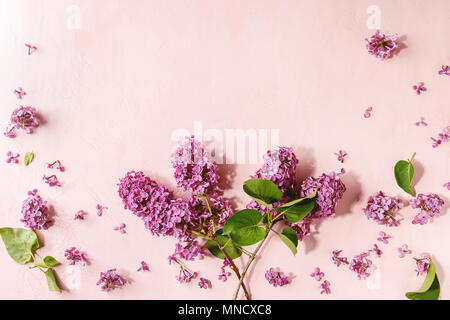 Plus de fleurs lilas rose Banque D'Images