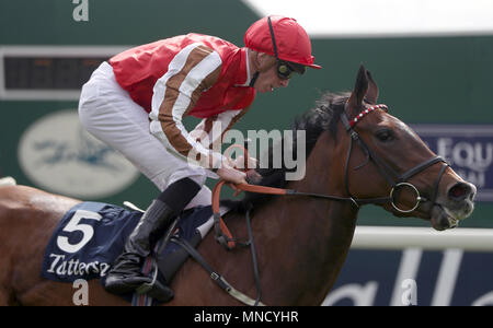 Donner et prendre monté par James Doyle Tattersalls Musidora remporte les enjeux au cours de la première journée du Festival à Dante 2018 hippodrome de York, New York. Banque D'Images
