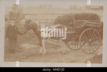 Vintage Photo d'un cheval et panier Livraison de Trowbridge, bouchers Famille Porton, Wiltshire, Angleterre, Royaume-Uni Banque D'Images