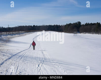 Paysage d'hiver avec de la neige et des pistes de ski, l'homme seul traversant un champ ouvert à pied en Norvège Oslo Bygdoy Banque D'Images