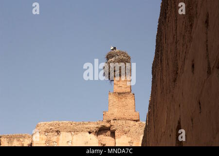 Nid de cigognes sur le dessus de la ruiné Palais El Badi à Marrakech, Maroc Banque D'Images