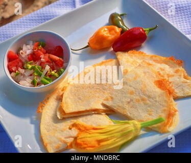 Quesadilla mexicaine avec de la salsa, de poivrons et de squash blosoom sur plaque unique. Banque D'Images