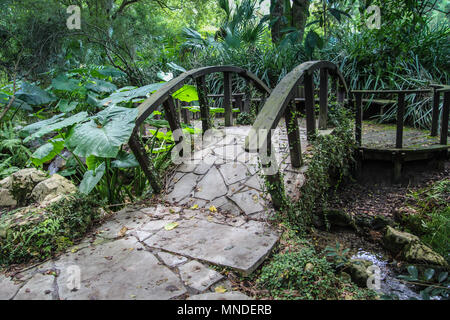 Kanapaha Botanical Gardens à Gainesville, Floride Banque D'Images