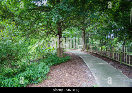 Kanapaha Botanical Gardens à Gainesville, Floride Banque D'Images