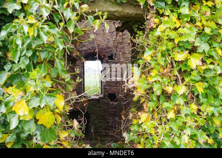 Moulin Glassaugh Cup and Saucer. Moulin à vent en ruine du 17ème siècle. Sandend, Ecosse, Royaume-Uni. Mai, 2018. Banque D'Images