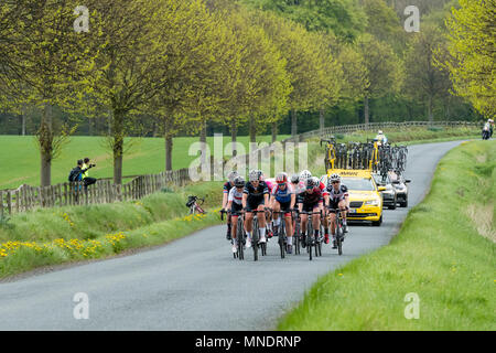 Soutien de l'équipe autos et les cyclistes en pack, participant à des Tour de Yorkshire en 2018, course sur un paysage pittoresque lane - Ilkley, North Yorkshire, Angleterre, Royaume-Uni. Banque D'Images