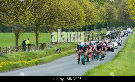 Cyclistes féminins à peloton, en compétition dans le Tour du Yorkshire 2018 et en course sur une piste plate, pittoresque et de campagne près d'Ilkley, North Yorkshire, Angleterre, Royaume-Uni. Banque D'Images