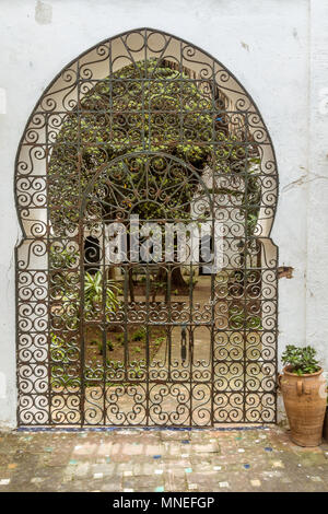 Jardin arabe derrière un portail en fer forgé metal Banque D'Images