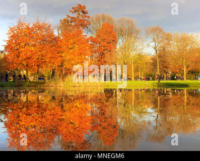 Amsterdam, Pays-Bas - 17 novembre 2017 : l'automne dans le Vondelpark, Amsterdam Banque D'Images
