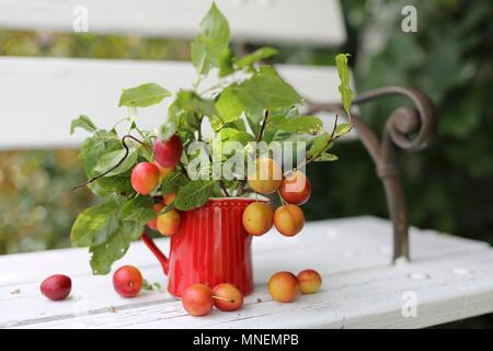 Ce qui est ramitas avec des prunes dans un pot rouge Banque D'Images