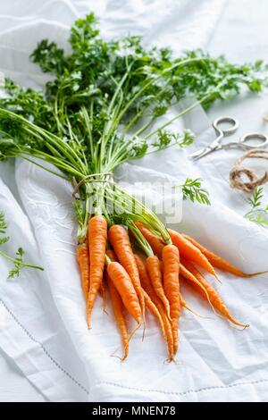 Un tas de carottes avec tops Banque D'Images