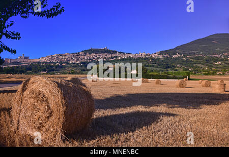 Vue panoramique topographiques d'assise sur l'éperon du Mont Subasio, comme vu sur les champs de blé coupé avec les rouleaux de foin, Assisi, Italie Banque D'Images