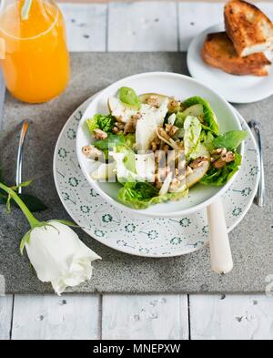 Salade Mixte avec le fenouil et le Camembert Banque D'Images