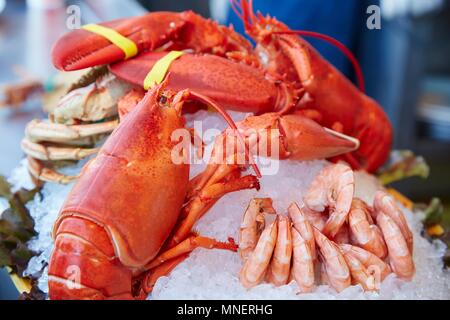 Fruits de mer sur glace Banque D'Images