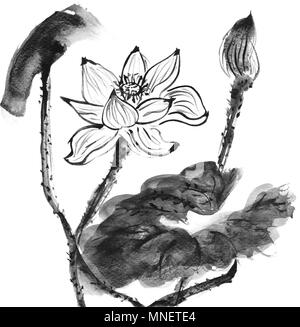 Aquarelle noir et blanc fond de fleurs de lotus. Banque D'Images