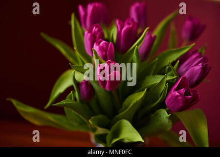 Le lilas tulipes dans un vase décoratif debout sur une table. La Russie, Moscou, maison de vacances, cadeau, humeur, nature, fleur, plante, bouquet, macro Banque D'Images