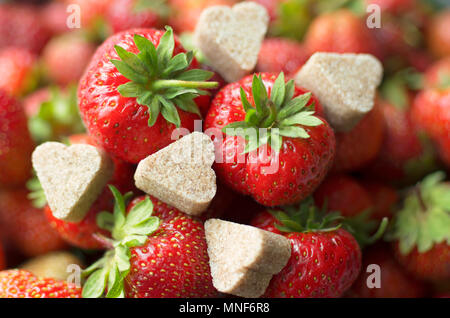 Petits fruits mûrs juteux fraise rouge avec des morceaux de sucre à la cannelle en forme de coeur Banque D'Images