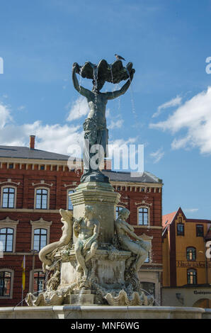 Muschelminna fontaine avec oiseau posé sur elle en Gorlitz Allemagne Banque D'Images
