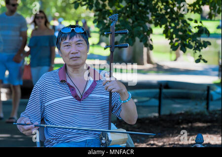 Boston, Massachusetts, États-Unis - 12 septembre 2016 : un artiste de la rue de sexe masculin asiatique joue un instrument à cordes dans le Jardin Public de Boston, à Boston, Massachus Banque D'Images