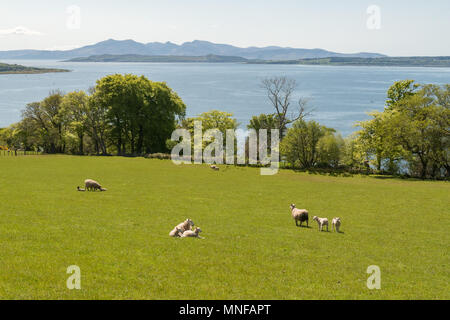 Vue sur l'île d'Arran sur le Firth of Clyde de Largs au printemps, Ecosse, Royaume-Uni Banque D'Images