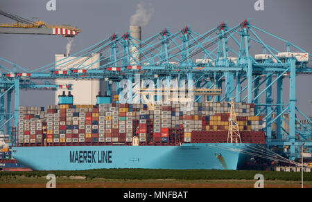 Le port maritime de Rotterdam, Pays-Bas, port en eau profonde Maasvlakte 2, sur une terre créée artificiellement, en face de la côte d'origine, contenant de l'APM Banque D'Images