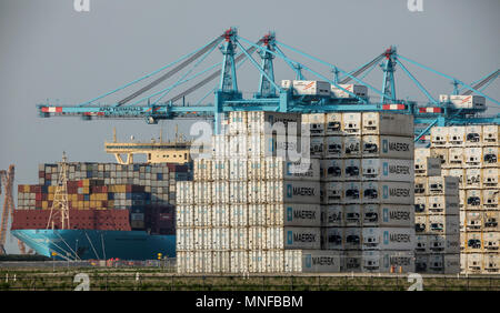 Le port maritime de Rotterdam, Pays-Bas, port en eau profonde Maasvlakte 2, sur une terre créée artificiellement, en face de la côte d'origine, contenant de l'APM Banque D'Images