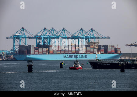 Le port maritime de Rotterdam, Pays-Bas, port en eau profonde Maasvlakte 2, sur une terre créée artificiellement, en face de la côte d'origine, contenant de l'APM Banque D'Images