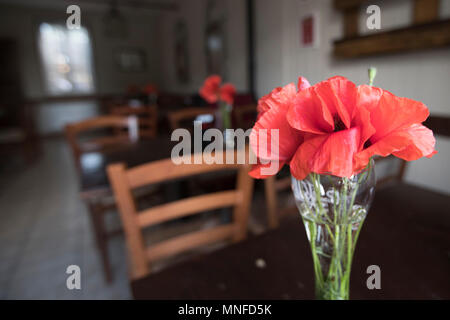 Libre d'une décoration de table, un tas de popppies sur une table en bois foncé Banque D'Images