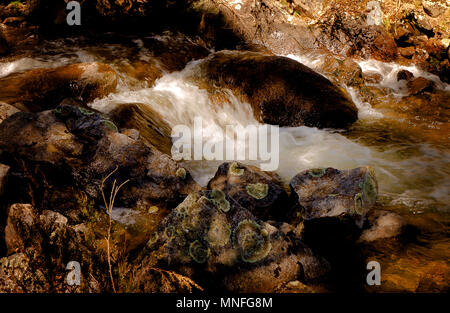 Mountain Creek avec l'eau qui coule rapidement entre les roches. Banque D'Images