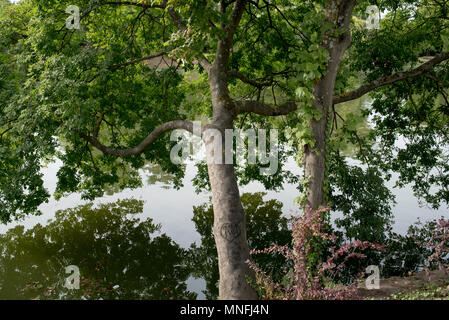 Paris, France. Bois de Boulogne Banque D'Images