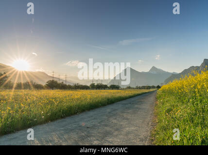 Route de gravier se séparer un champ de canola et colza jaune une prairie de fleurs sauvages avec le soleil couchant disparaître derrière un magnifique paysage de montagne Banque D'Images