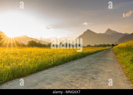 Route de gravier se séparer un champ de canola et colza jaune une prairie de fleurs sauvages avec le soleil couchant disparaître derrière un magnifique paysage de montagne Banque D'Images