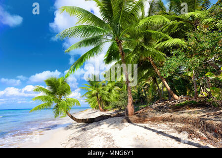 Serenity beach tropical instagram Polariod filtre appliqué. Jetée en bois au toit de feuilles de palmier avec pavillon sur la plage. Banque D'Images