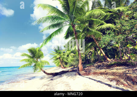 Serenity beach tropical instagram Polariod filtre appliqué. S'est évanoui. Banque D'Images
